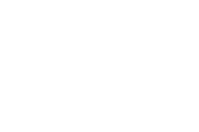 PT RAN Collect Indonesia